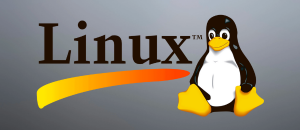 AMCap for Linux